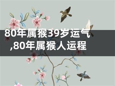 80年属猴39岁运气,80年属猴人运程