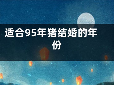 适合95年猪结婚的年份