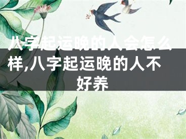 八字起运晚的人会怎么样,八字起运晚的人不好养