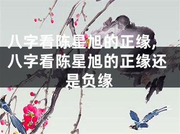 八字看陈星旭的正缘,八字看陈星旭的正缘还是负缘