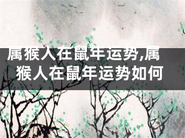 属猴人在鼠年运势,属猴人在鼠年运势如何