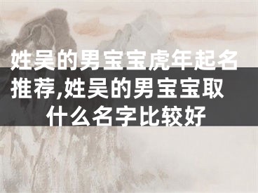 姓吴的男宝宝虎年起名推荐,姓吴的男宝宝取什么名字比较好