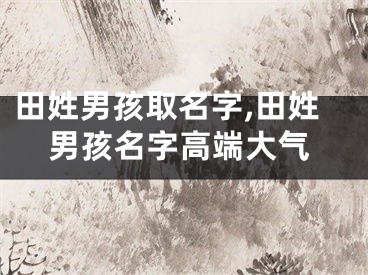 田姓男孩取名字,田姓男孩名字高端大气