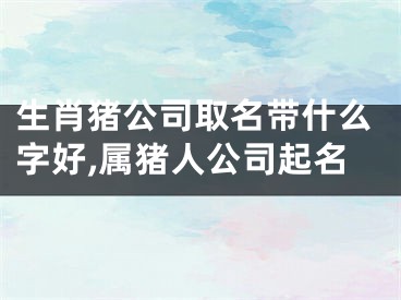 生肖猪公司取名带什么字好,属猪人公司起名