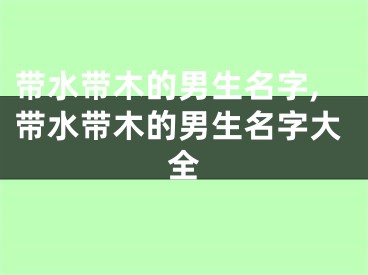 带水带木的男生名字,带水带木的男生名字大全