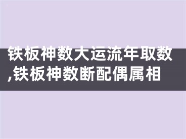 铁板神数大运流年取数,铁板神数断配偶属相
