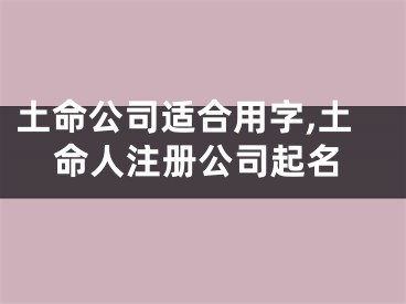 土命公司适合用字,土命人注册公司起名