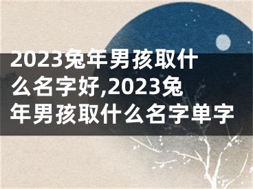 2023兔年男孩取什么名字好,2023兔年男孩取什么名字单字