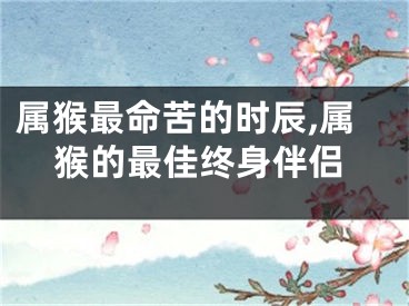 属猴最命苦的时辰,属猴的最佳终身伴侣