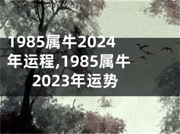 1985属牛2024年运程,1985属牛2023年运势