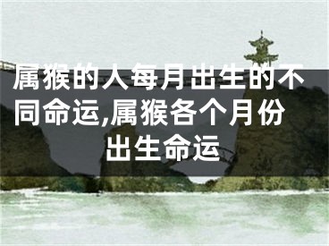 属猴的人每月出生的不同命运,属猴各个月份出生命运