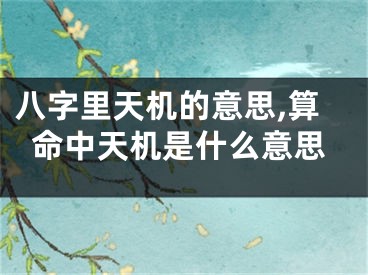 八字里天机的意思,算命中天机是什么意思