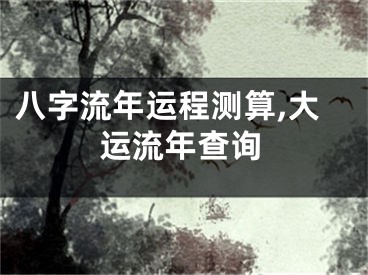 八字流年运程测算,大运流年查询