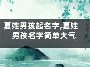 夏姓男孩起名字,夏姓男孩名字简单大气