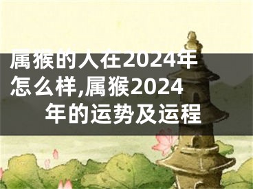 属猴的人在2024年怎么样,属猴2024年的运势及运程