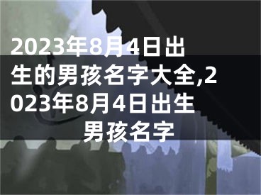2023年8月4日出生的男孩名字大全,2023年8月4日出生男孩名字