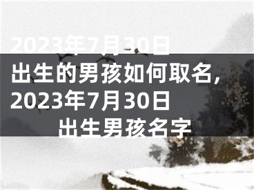 2023年7月30日出生的男孩如何取名,2023年7月30日出生男孩名字