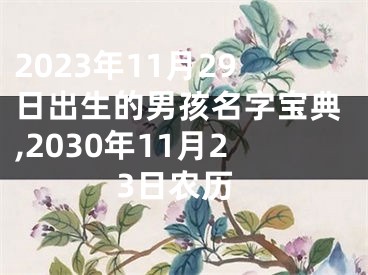 2023年11月29日出生的男孩名字宝典,2030年11月23日农历