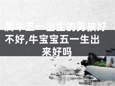 属牛五一出生的男孩好不好,牛宝宝五一生出来好吗