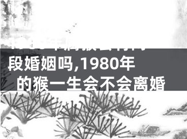 1980年属猴会有两段婚姻吗,1980年的猴一生会不会离婚