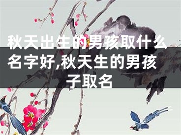 秋天出生的男孩取什么名字好,秋天生的男孩子取名