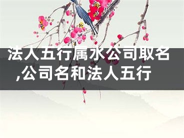 法人五行属水公司取名,公司名和法人五行
