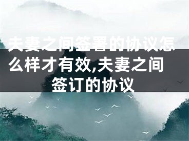 夫妻之间签署的协议怎么样才有效,夫妻之间签订的协议