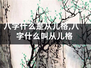 八字什么是从儿格,八字什么叫从儿格