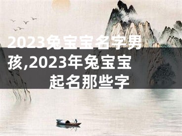 2023兔宝宝名字男孩,2023年兔宝宝起名那些字
