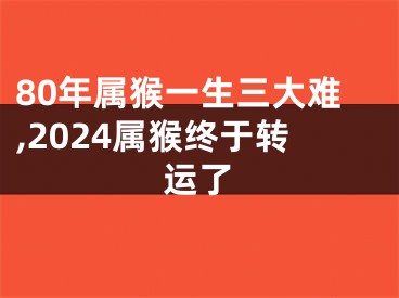 80年属猴一生三大难,2024属猴终于转运了