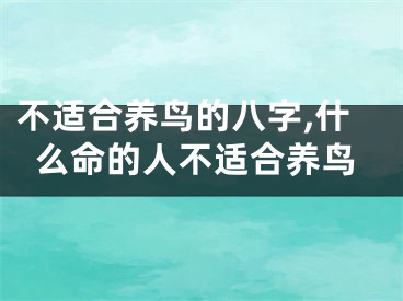 不适合养鸟的八字,什么命的人不适合养鸟