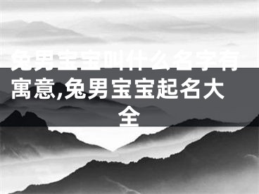 兔男宝宝叫什么名字有寓意,兔男宝宝起名大全