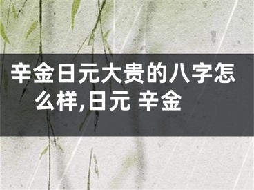 辛金日元大贵的八字怎么样,日元 辛金