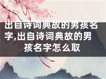 出自诗词典故的男孩名字,出自诗词典故的男孩名字怎么取