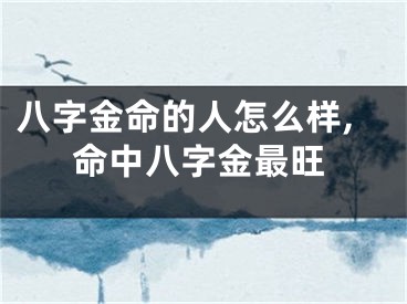 八字金命的人怎么样,命中八字金最旺