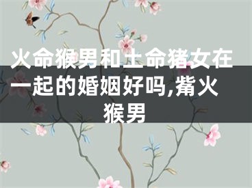 火命猴男和土命猪女在一起的婚姻好吗,觜火猴男