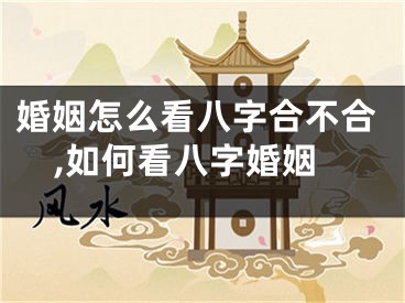 婚姻怎么看八字合不合,如何看八字婚姻