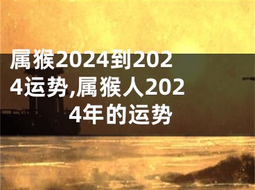 属猴2024到2024运势,属猴人2024年的运势