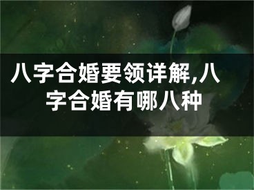 八字合婚要领详解,八字合婚有哪八种