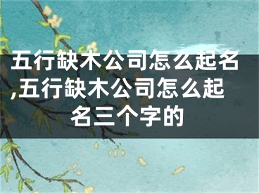五行缺木公司怎么起名,五行缺木公司怎么起名三个字的