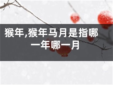 猴年,猴年马月是指哪一年哪一月