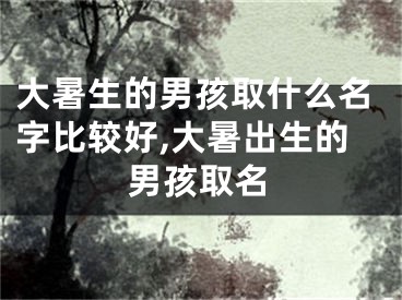 大暑生的男孩取什么名字比较好,大暑出生的男孩取名