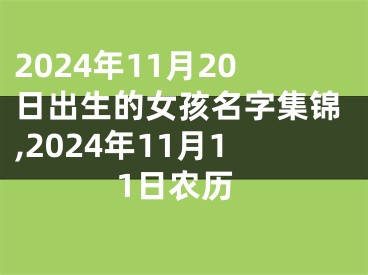 2024年11月20日出生的女孩名字集锦,2024年11月11日农历