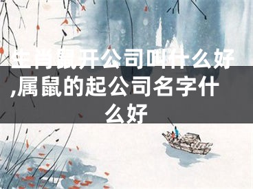 生肖鼠开公司叫什么好,属鼠的起公司名字什么好
