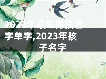 2023年最旺男孩名字单字,2023年孩子名字