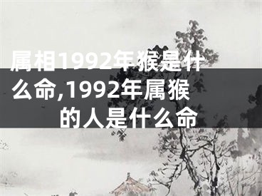 属相1992年猴是什么命,1992年属猴的人是什么命