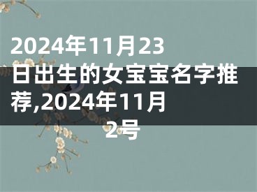 2024年11月23日出生的女宝宝名字推荐,2024年11月2号