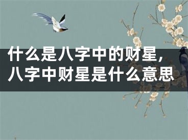什么是八字中的财星,八字中财星是什么意思