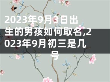 2023年9月3日出生的男孩如何取名,2023年9月初三是几号