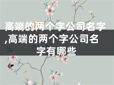 高端的两个字公司名字,高端的两个字公司名字有哪些